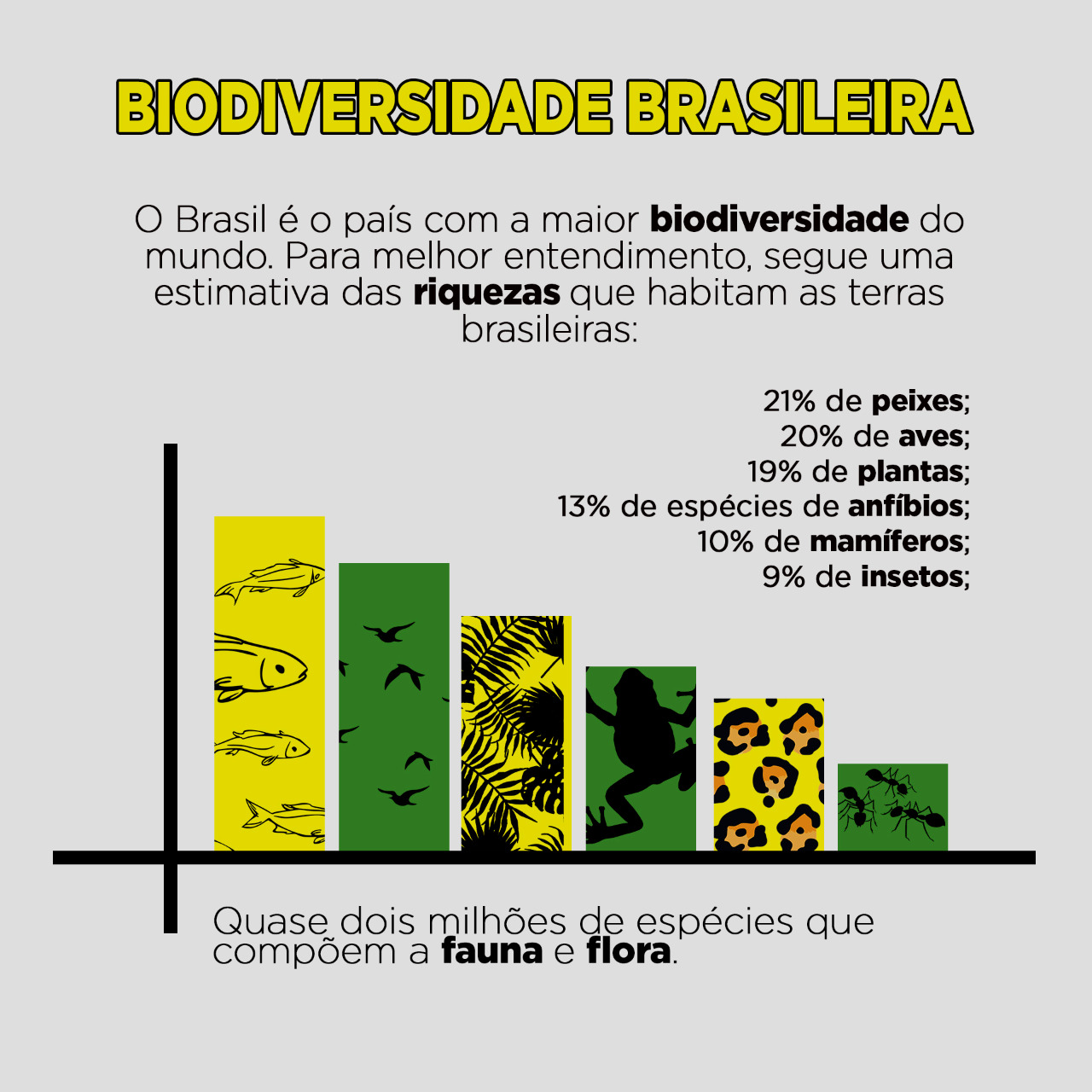 Infografico Procad 1