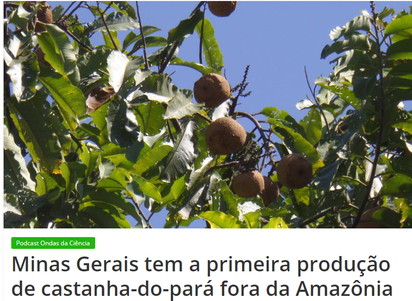 Gentileza solicitar descrição da imagem