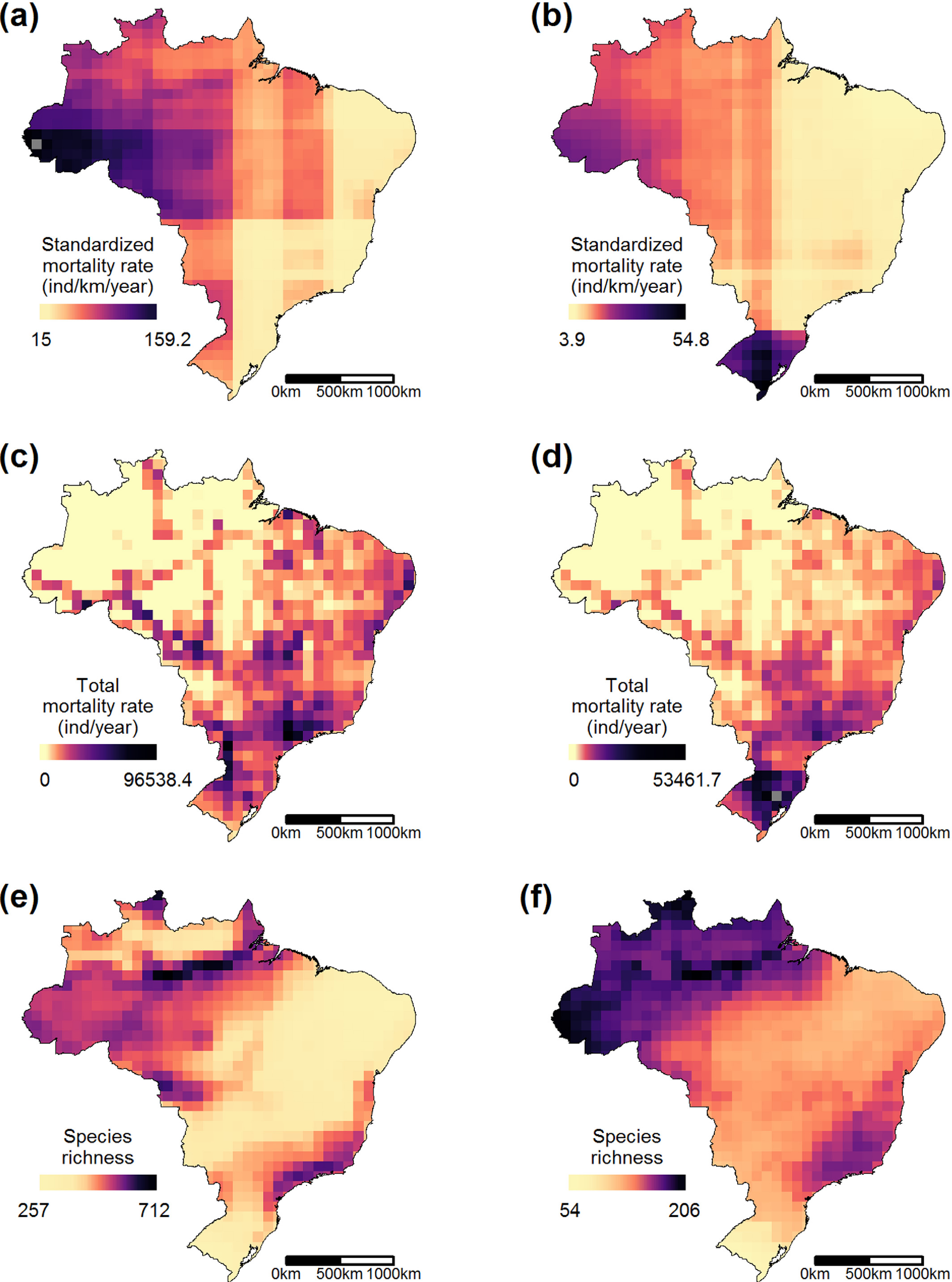 Gentileza solicitar descrição da imagem