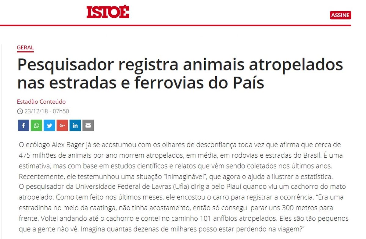 Gentileza solicitar descrição da imagem