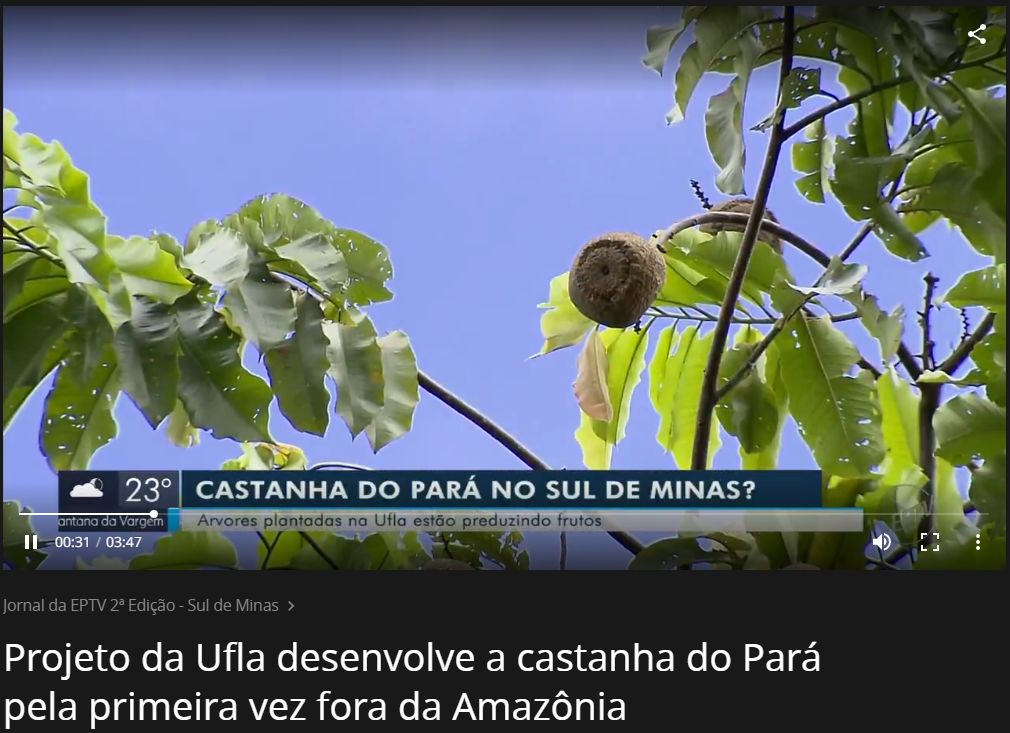 Gentileza solicitar descrição da imagem