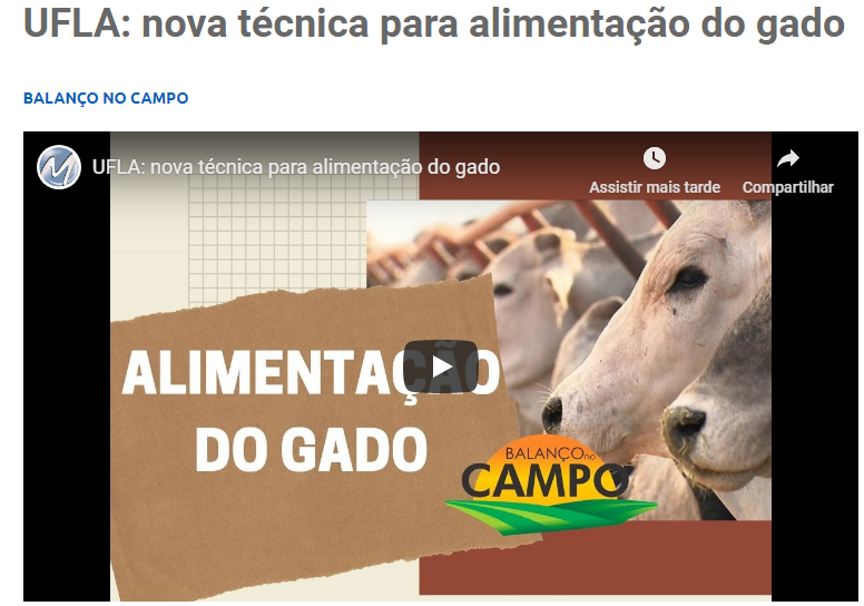 Gentileza solicitar descrição da imagem