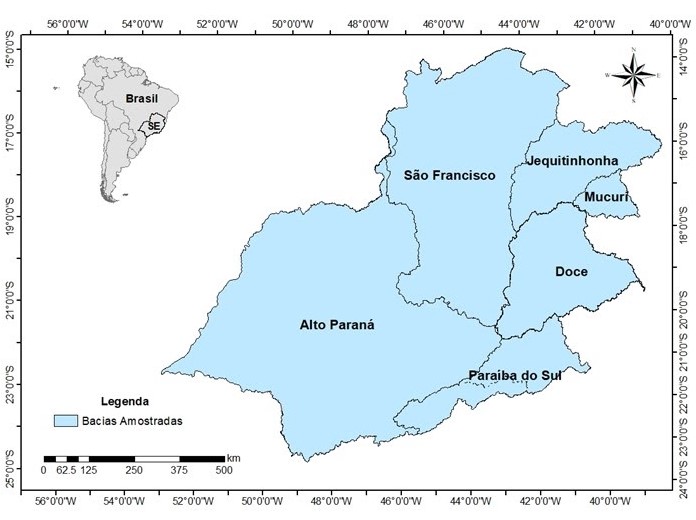 Gentileza solicitar descrição da imagem