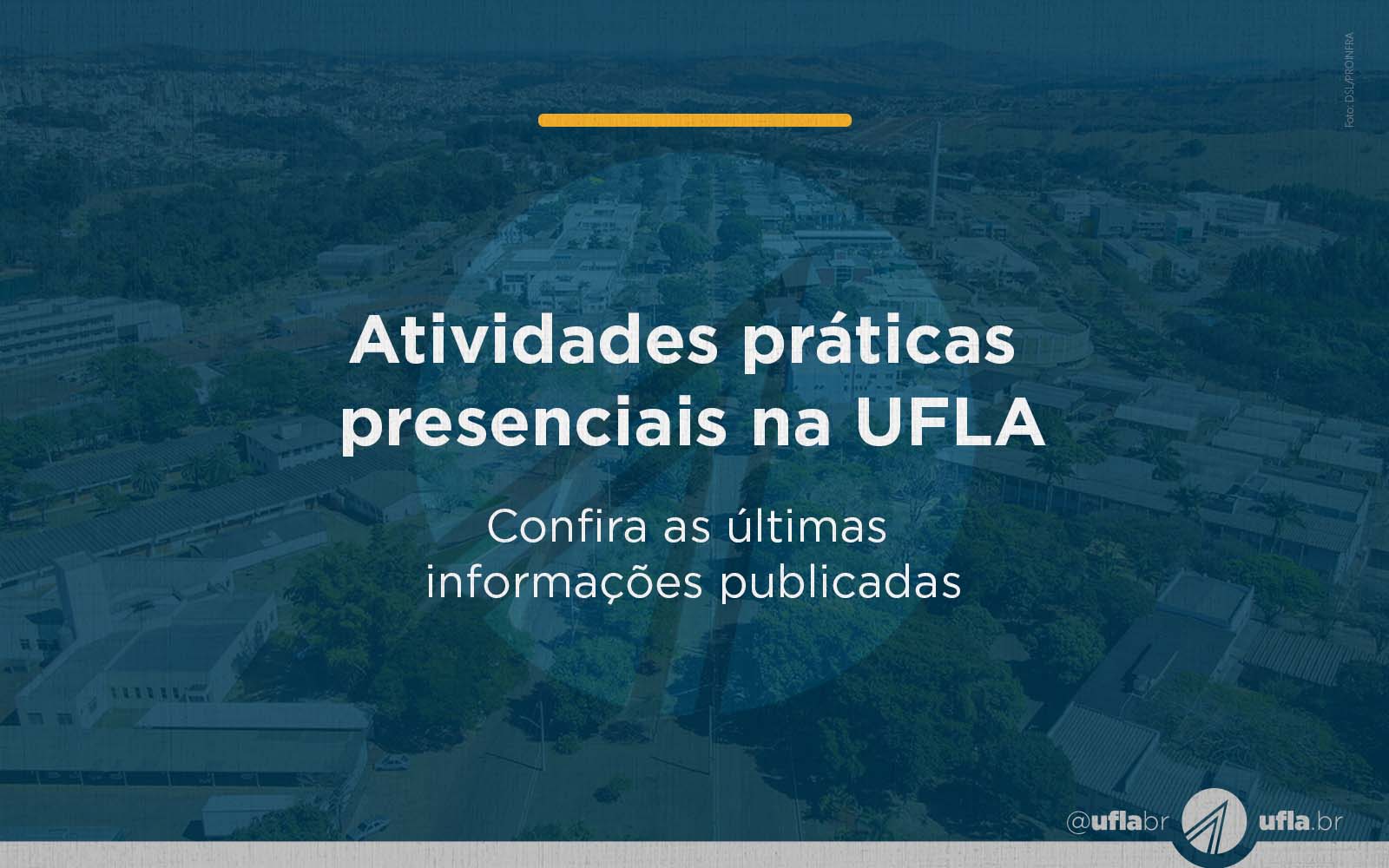 Gentileza solicitar descrição da imagem