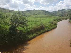 área de revegetação em próximo ao rio 