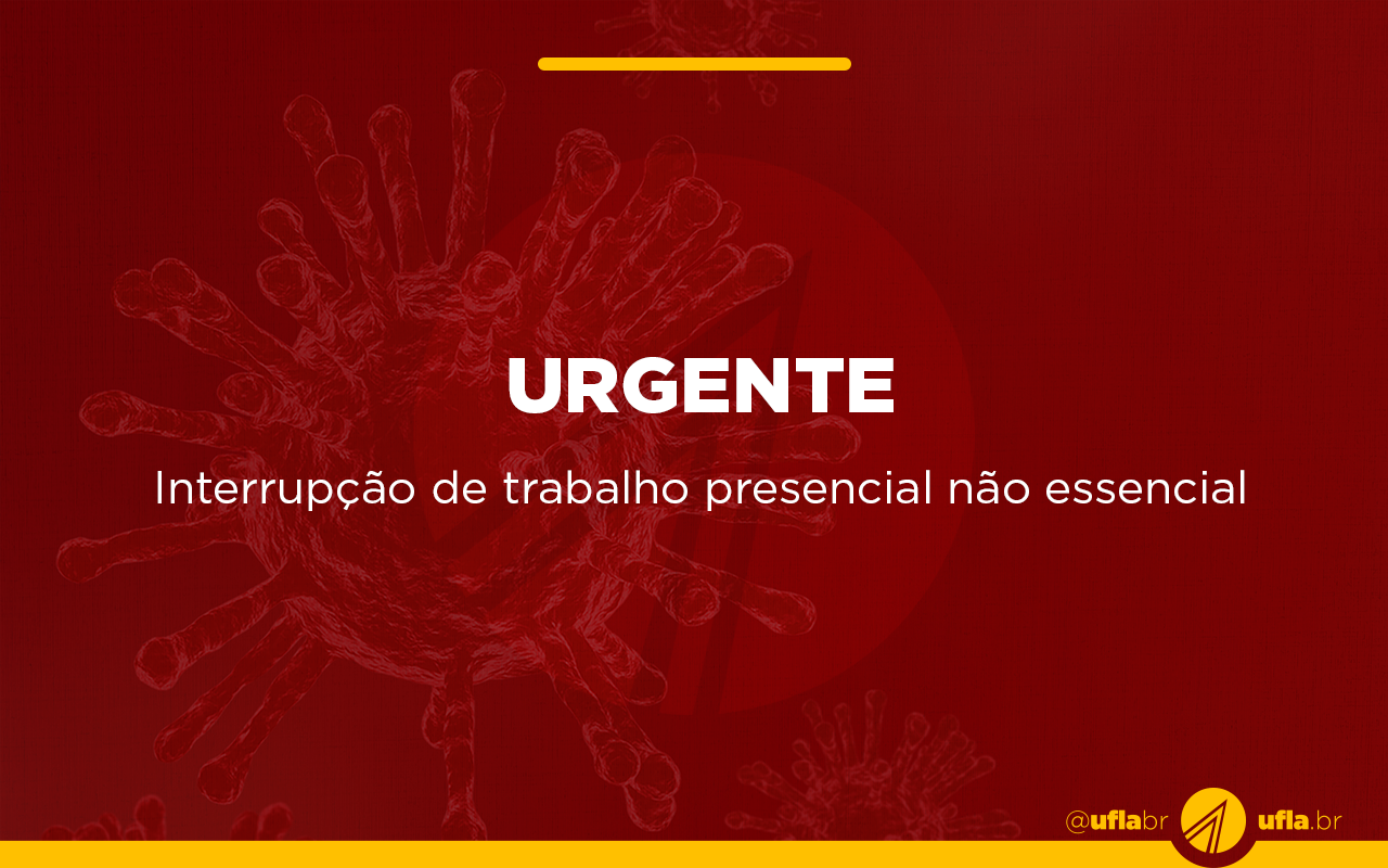 Gentileza solicitar descrição da imagem