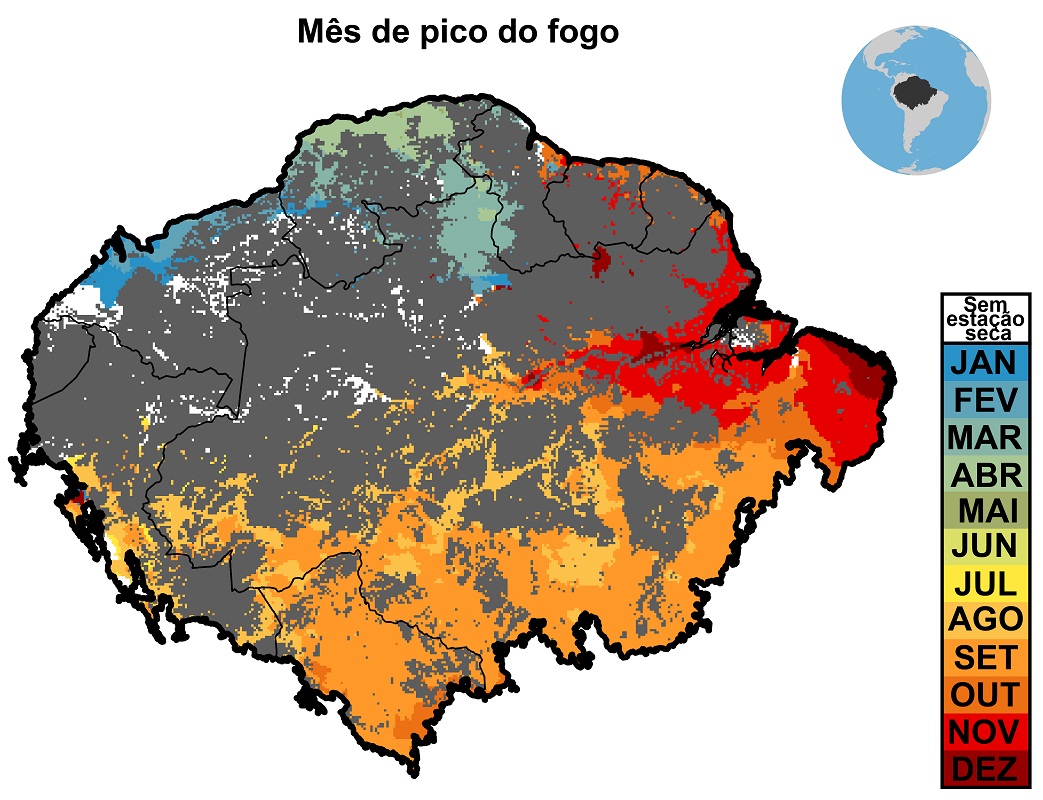 Gentileza solicitar descrição da imagem