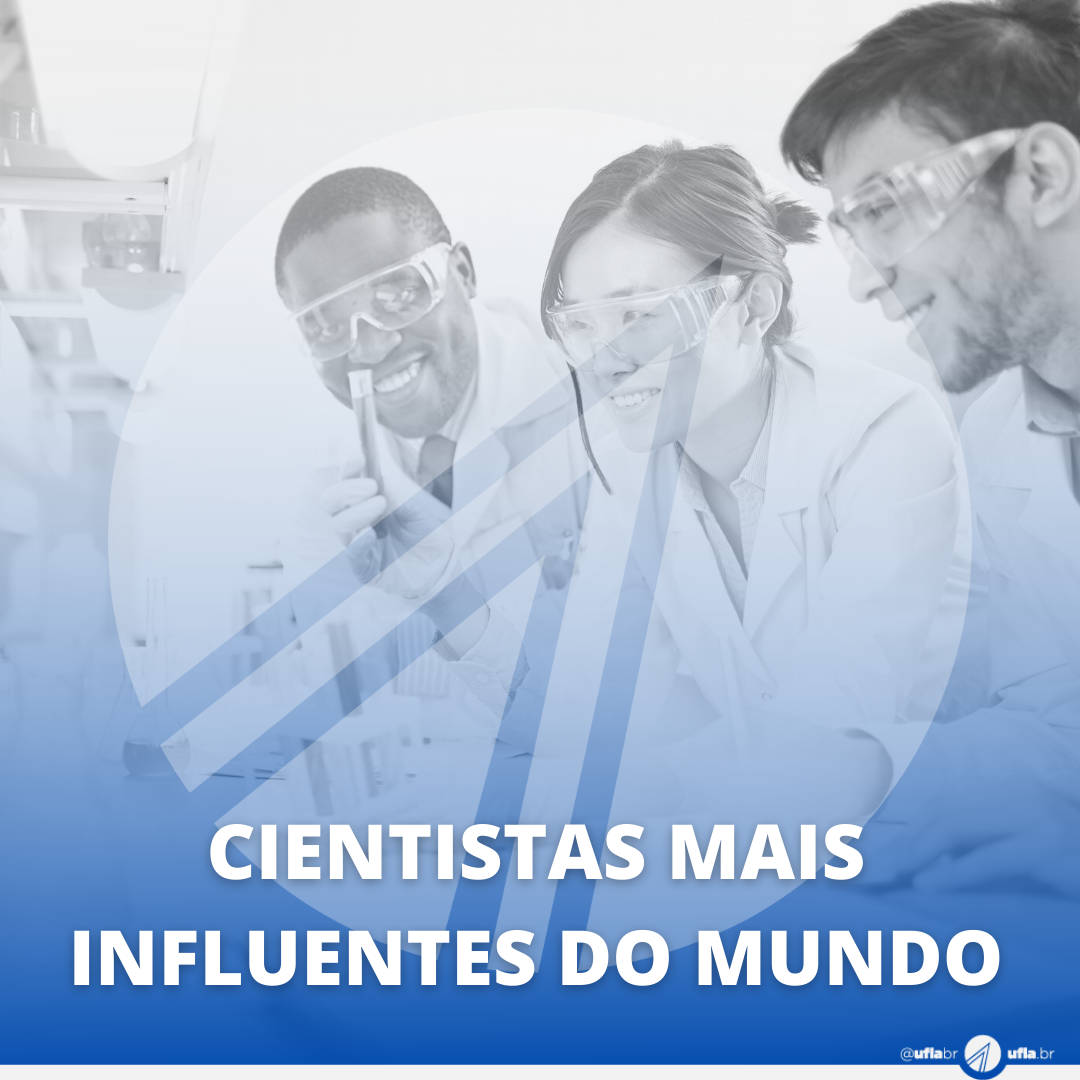 Gentileza solicitar descrição da imagem