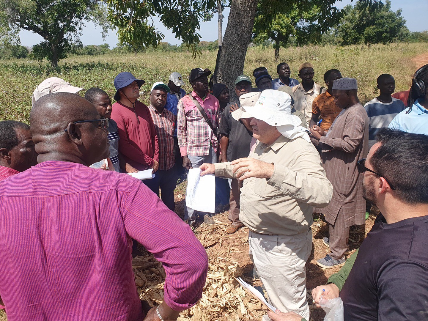 Com apoio da UFLA, cooperação Brasil-Mali aumenta a produtividade do algodão com técnicas de conservação do solo