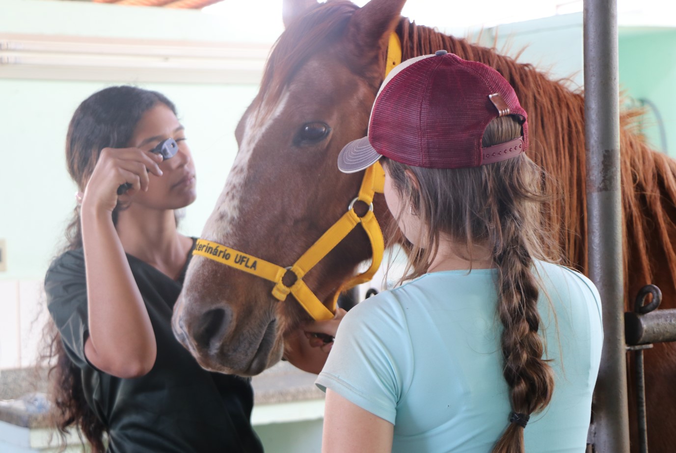 Gentileza solicitar descrição da imagem