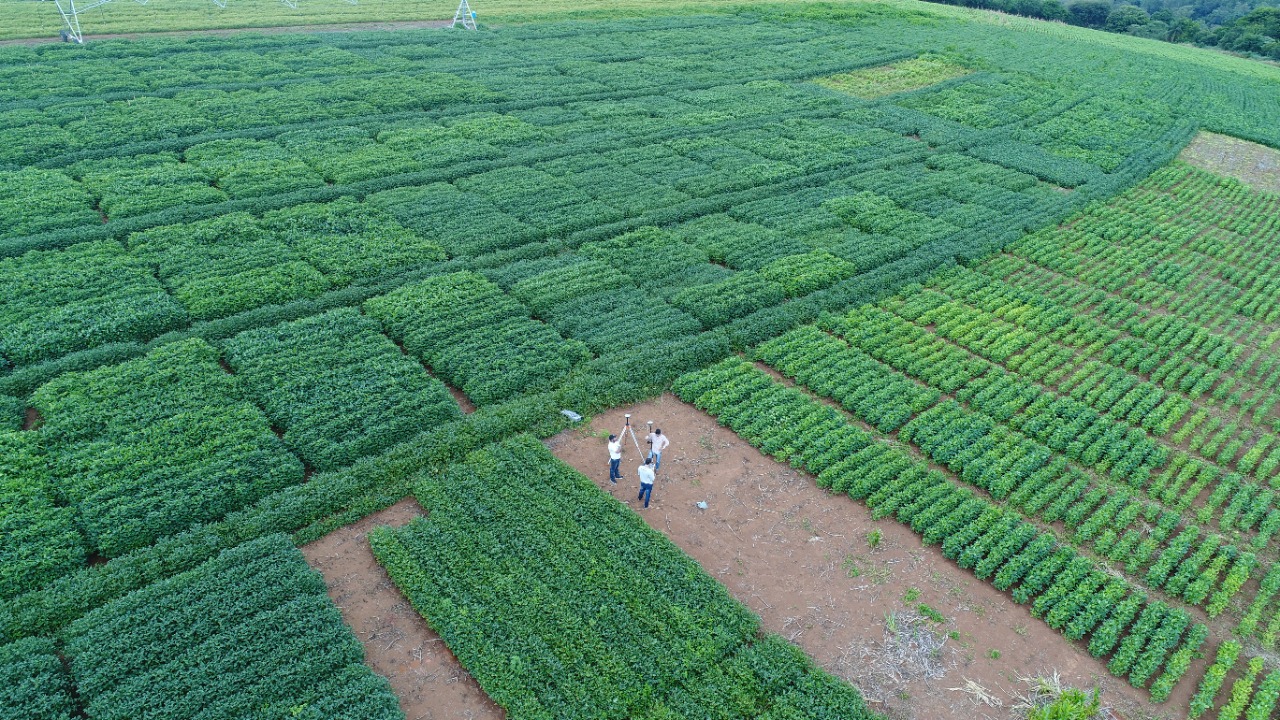 WhatsApp Image 2025 06 18 at 14.22.40 1