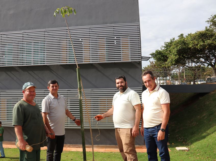 Gentileza solicitar descrição da imagem