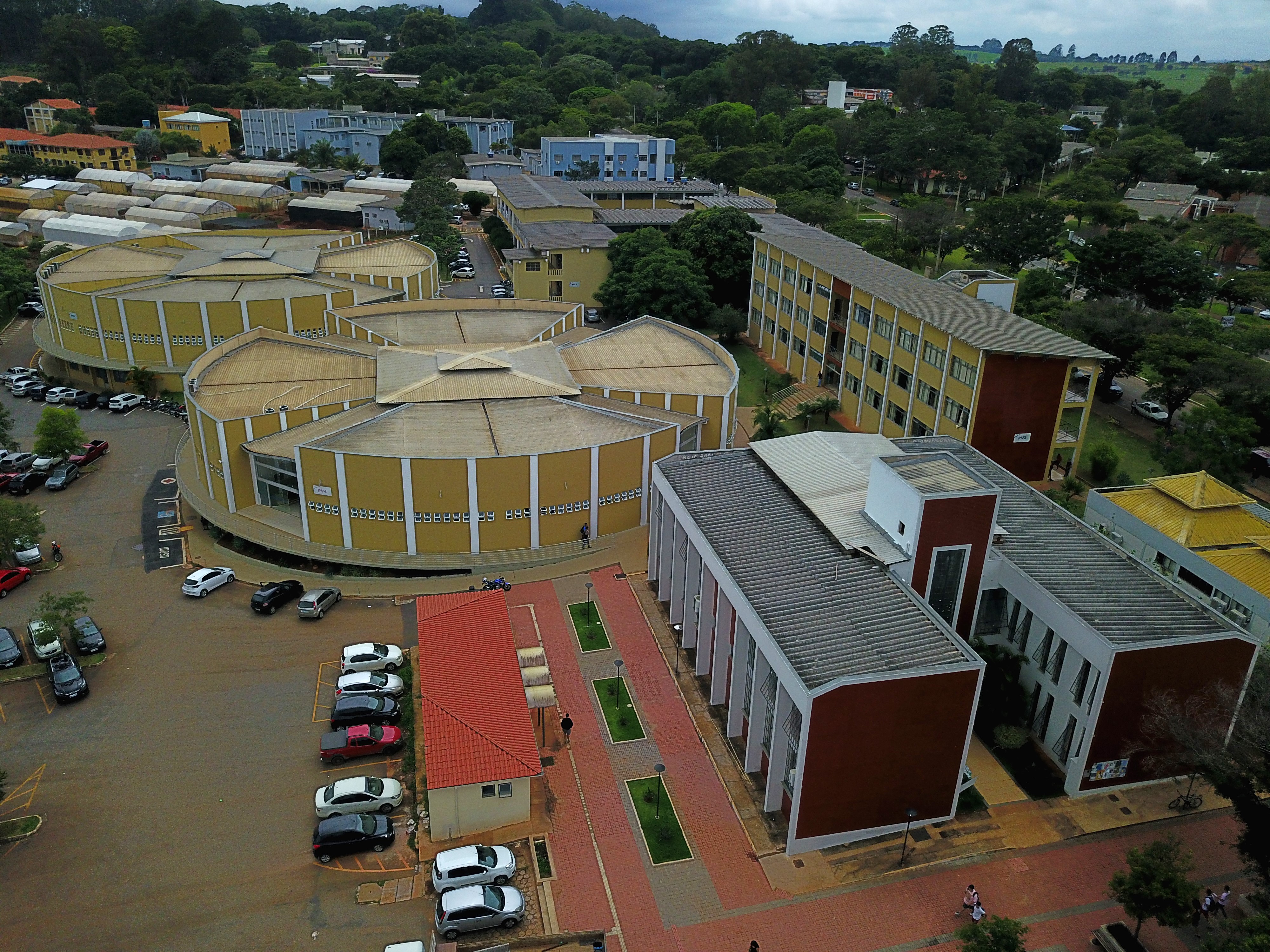 Gentileza solicitar descrição da imagem