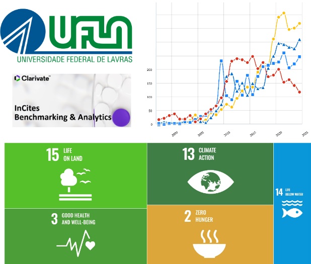 Treinamento com especialista da InCites aprimora o uso da plataforma na pós-graduação da UFLA