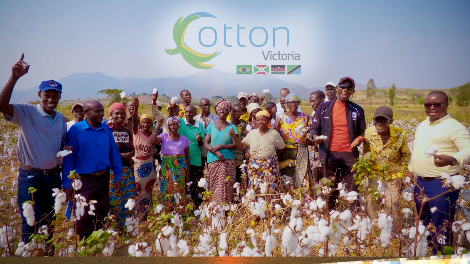 Cotton Victoria: documentário apresenta impactos da cooperação internacional brasileira na cadeia do algodão