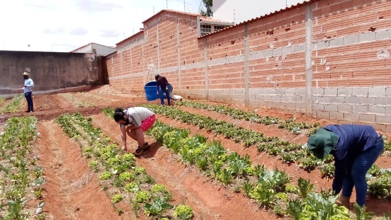 Gentileza solicitar descri&ccedil;&atilde;o da imagem