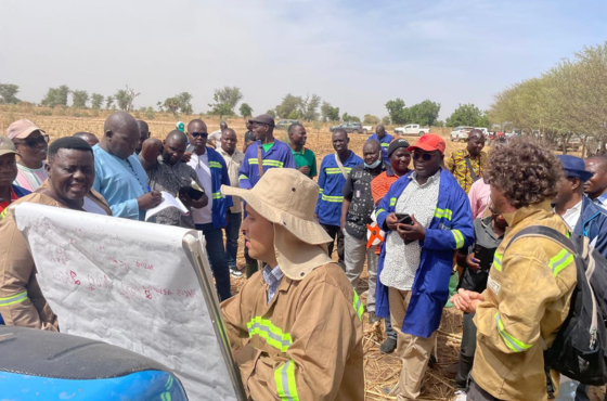 Cooperação Sul-Sul fortalece cadeia do algodão e agricultura familiar no Cameroun