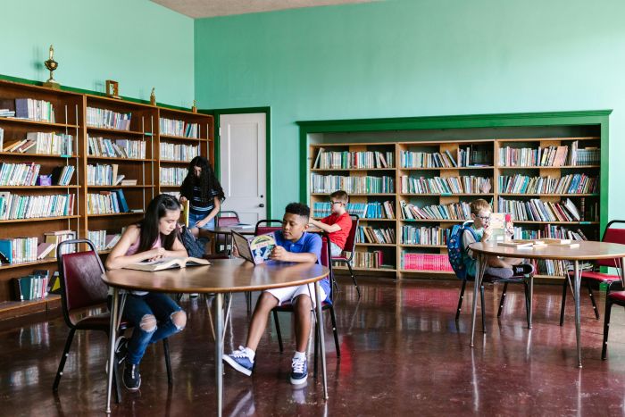 Pesquisa da UFLA destaca o papel da biblioteca escolar na formação literária, crítica e socioemocional