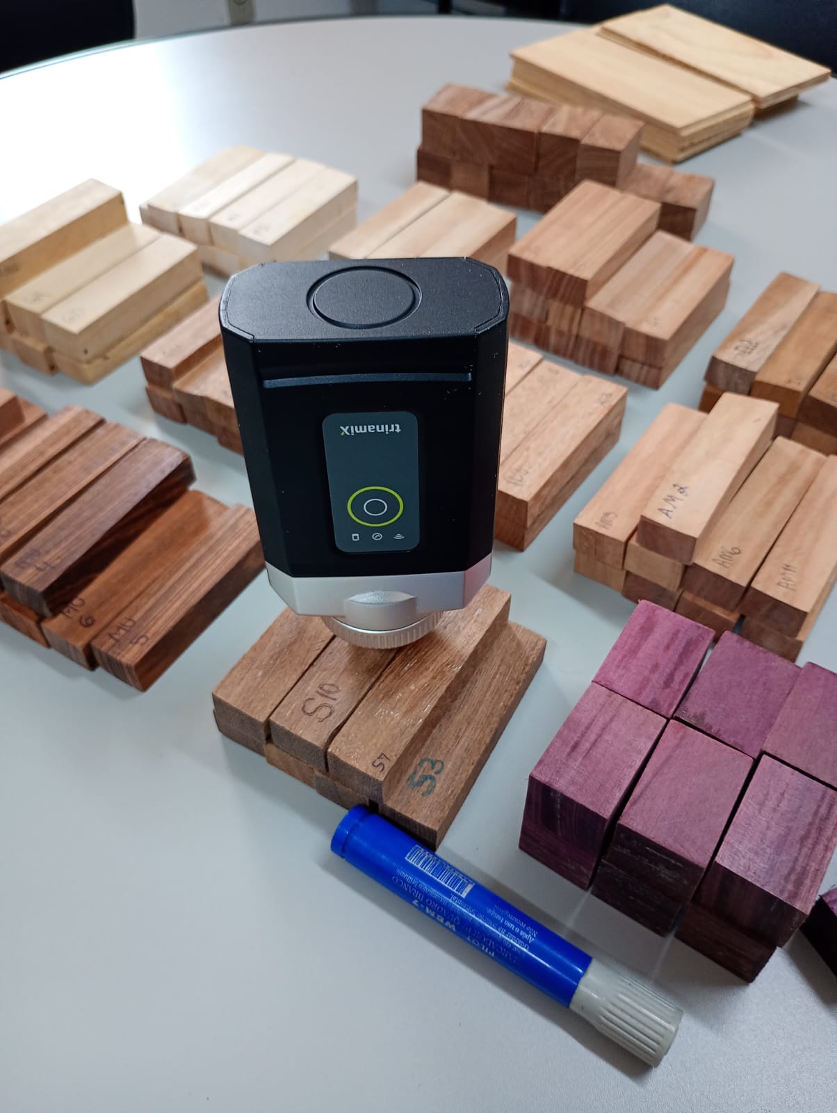 Tecnologia desenvolvida na UFLA permite avaliar madeira em tempo real com uso de inteligência artificial
