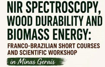UFLA promove evento franco-brasileiro sobre espectroscopia NIR, durabilidade da madeira e energia de biomassa