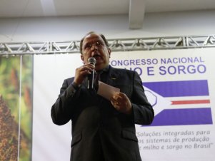 Abertura Congresso Milho e Sorgo