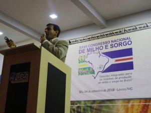 Abertura Congresso Milho e Sorgo