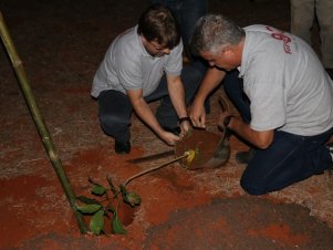 Jubileu de Ouro e Prata