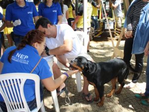 Ciência na Praça - SNCT