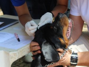 Ciência na Praça - SNCT