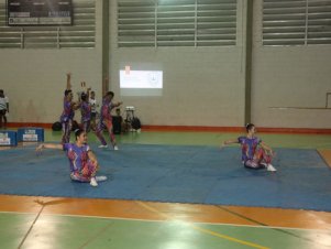 Festival de Ginastica 2018/2