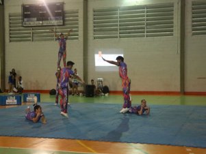 Festival de Ginastica 2018/2