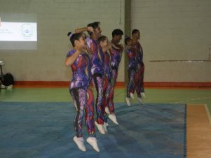 Festival de Ginastica 2018/2