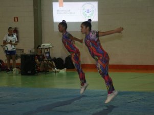 Festival de Ginastica 2018/2