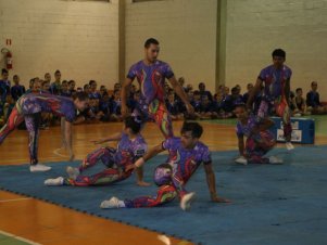 Festival de Ginastica 2018/2