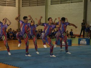 Festival de Ginastica 2018/2