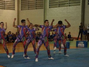 Festival de Ginastica 2018/2