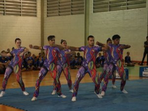 Festival de Ginastica 2018/2