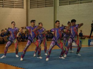 Festival de Ginastica 2018/2