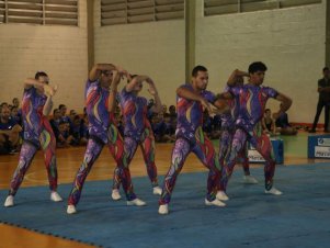 Festival de Ginastica 2018/2