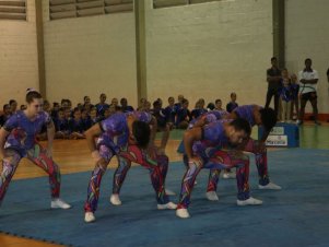 Festival de Ginastica 2018/2