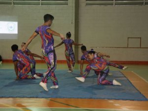 Festival de Ginastica 2018/2