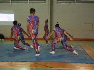 Festival de Ginastica 2018/2