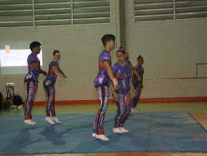 Festival de Ginastica 2018/2