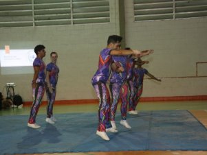 Festival de Ginastica 2018/2