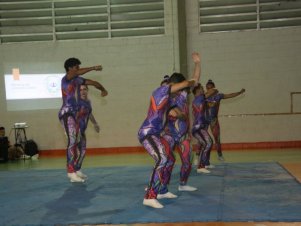 Festival de Ginastica 2018/2