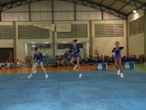 Festival de Ginastica 2018/2