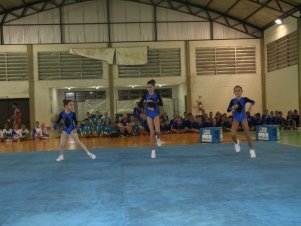 Festival de Ginastica 2018/2