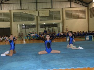 Festival de Ginastica 2018/2