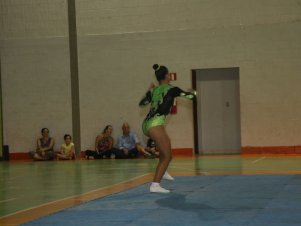 Festival de Ginastica 2018/2