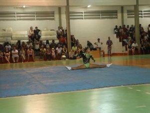 Festival de Ginastica 2018/2